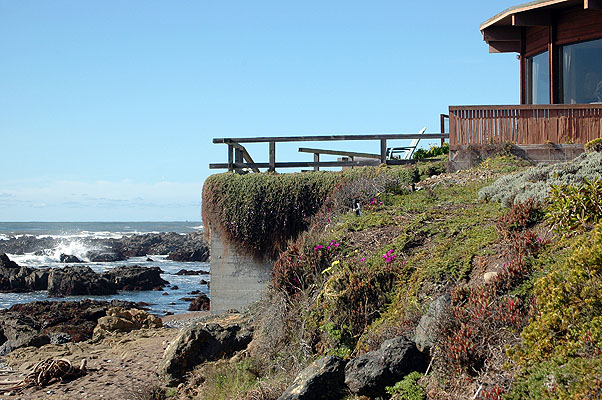 Cambria February 2011 024.JPG